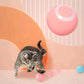 iRosesilk™ Interaktiver, leise rollender Ball für Haustiere
