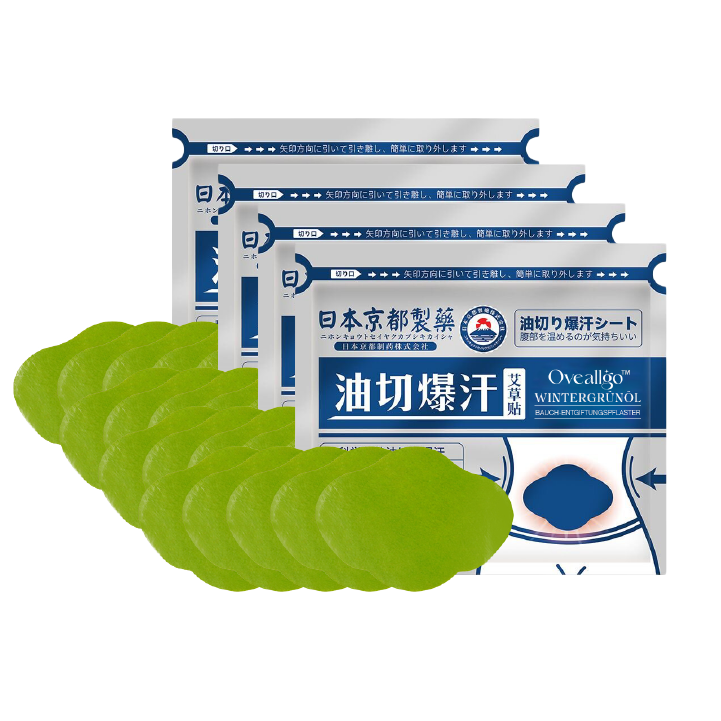 Oveallgo™ Japan Infrarot Suana Therapie Wintergrün Entgiftungspflaster